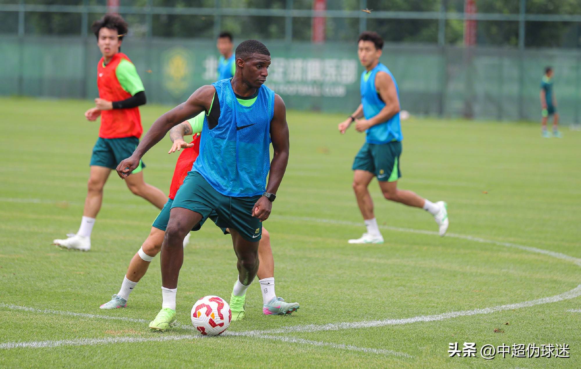 昔日狼王之 昔日狼王之