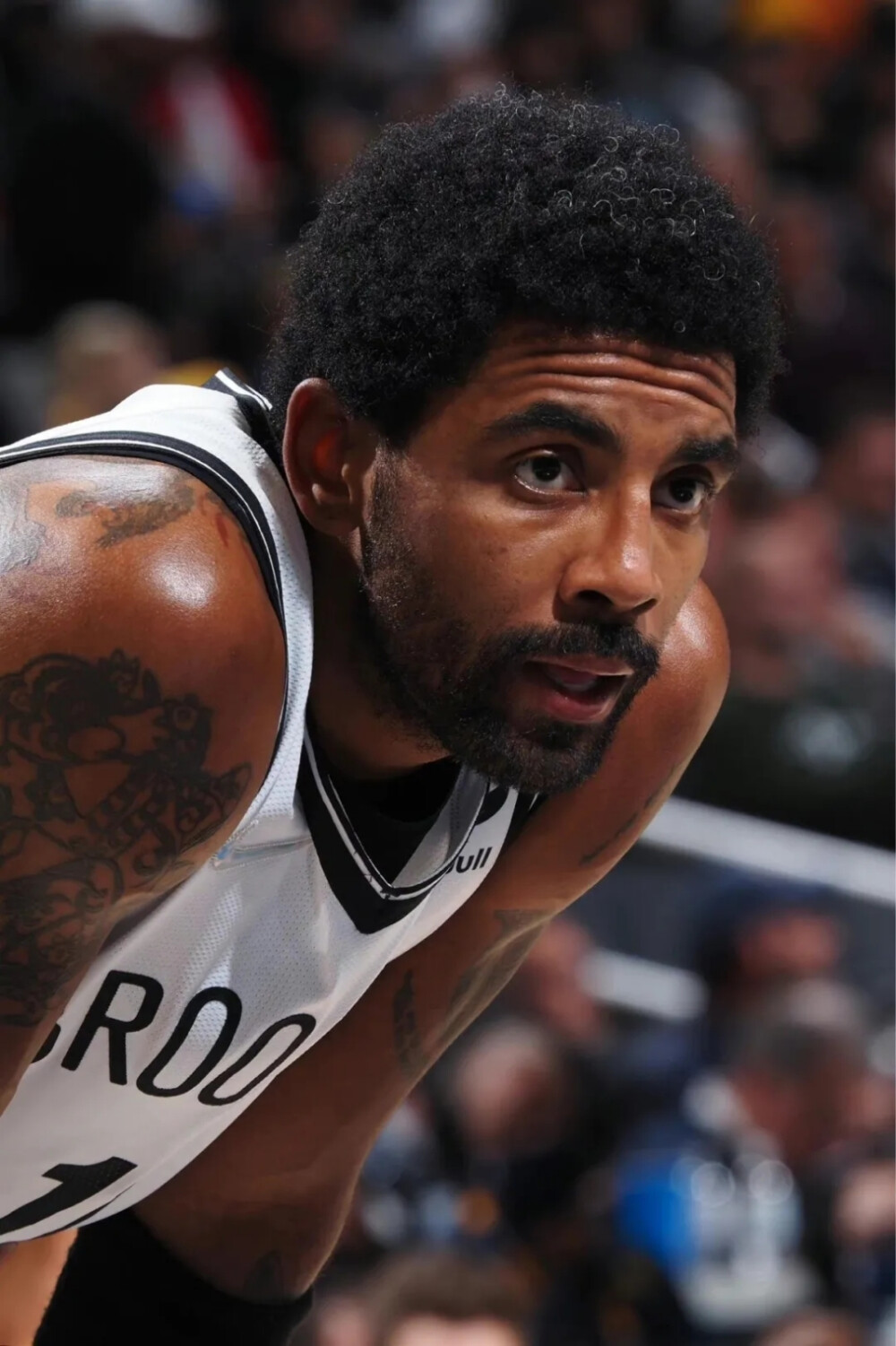 深圳队的亮 深圳队的亮