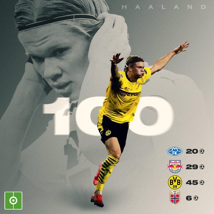 表现形式 表现形式